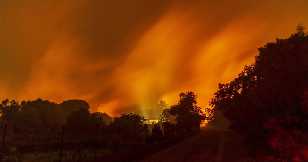 Incendiu de vegetație în Puglia: peste 400 de persoane au fost evacuate cu bărcile de pe litoral. Alte sute așteaptă să fie salvate