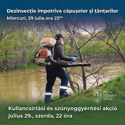 Dezinsecție împotriva țânțarilor și căpușelor în municipiul Satu Mare. Intervențiile vor avea loc în noaptea de 29 iulie
