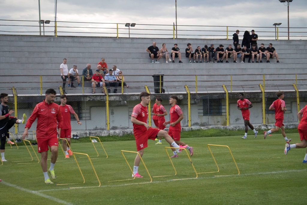 FRF confirmă retragerea FC Hermannstadt din Liga 2. Locul echipei sibiene este preluat de CSM Olimpia Satu Mare