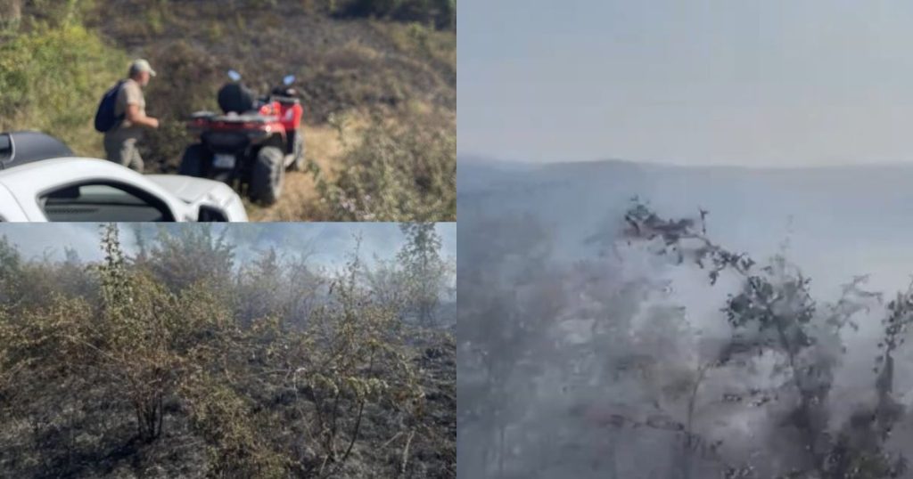 Incendiu puternic de vegetație în Caraș-Severin, într-o zonă greu accesibilă! Pompierii intervin pentru a stinge focarele
