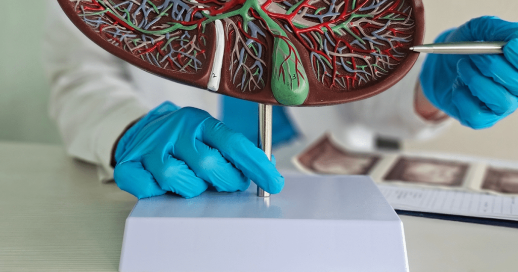Medic: Ce să elimini din alimentație pentru un ficat sănătos