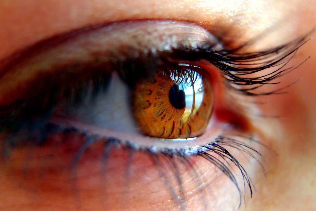 Cum previi oboseala oculară în era digitală și ce să mănânci ca să vezi bine / Medic: Nu există „timp perfect sigur” în care să ne uităm în ecrane