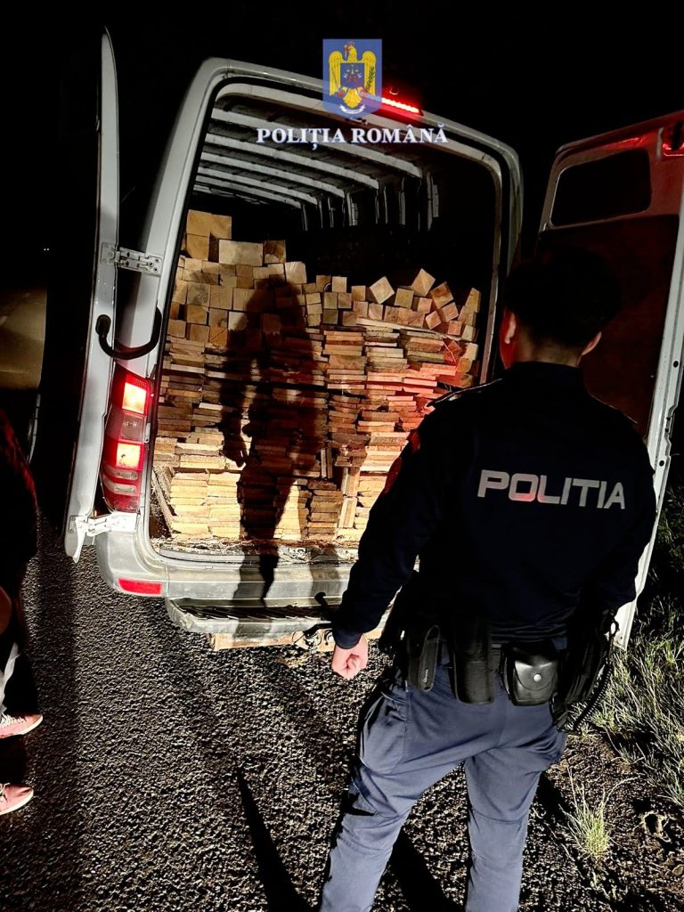 Material lemnos fără acte, confiscat de polițiști la Corlăteni
