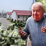Sechestru de 6,4 milioane de euro și 13 milioane de lei pe averea familiei Pașca