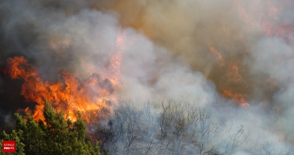 MAE, atenţionare de călătorie pentru Statelor Unite ale Americii. Incendii de vegetaţie pe Coasta de Vest