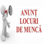 Noi oportunități de angajare