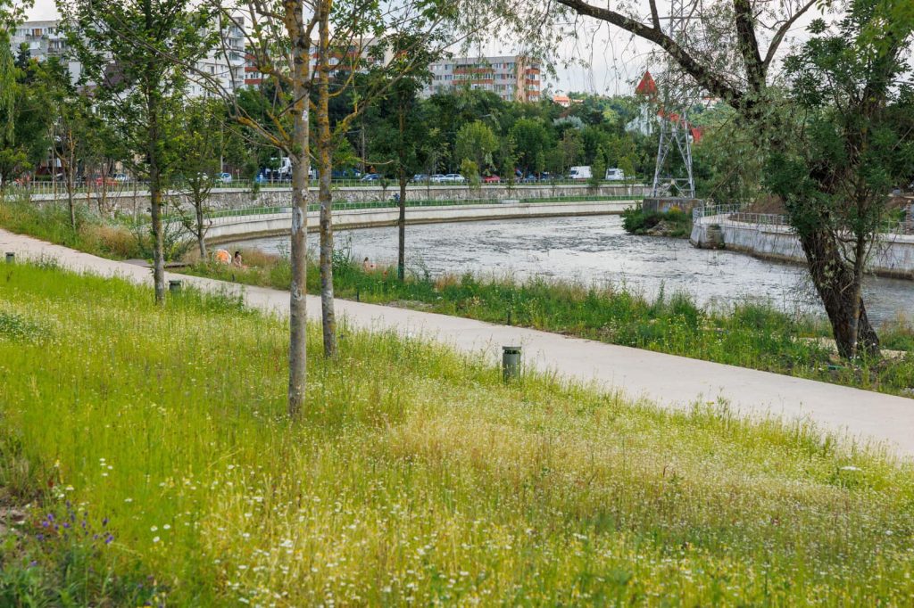 Boc: Municipiul Cluj-Napoca va avea un nou pod peste Someş, în valoare de şase milioane de euro / ”Va fi construit de la zero, va înlocui actuala pasarelă suspendată”
