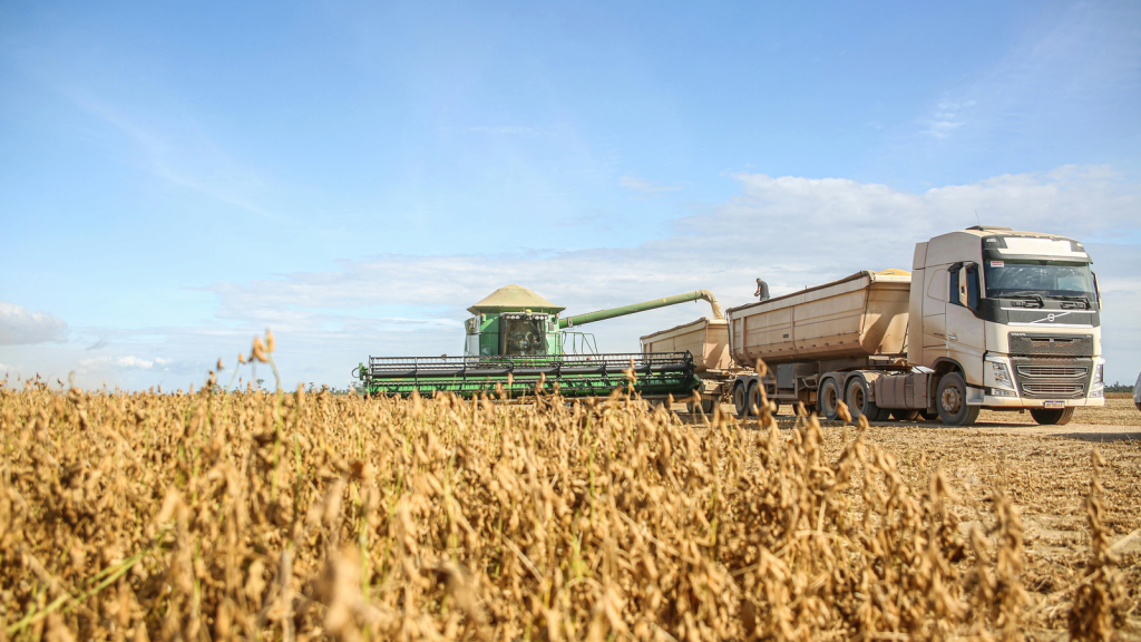 APIA începe verificările pentru acordarea subvențiilor agricole