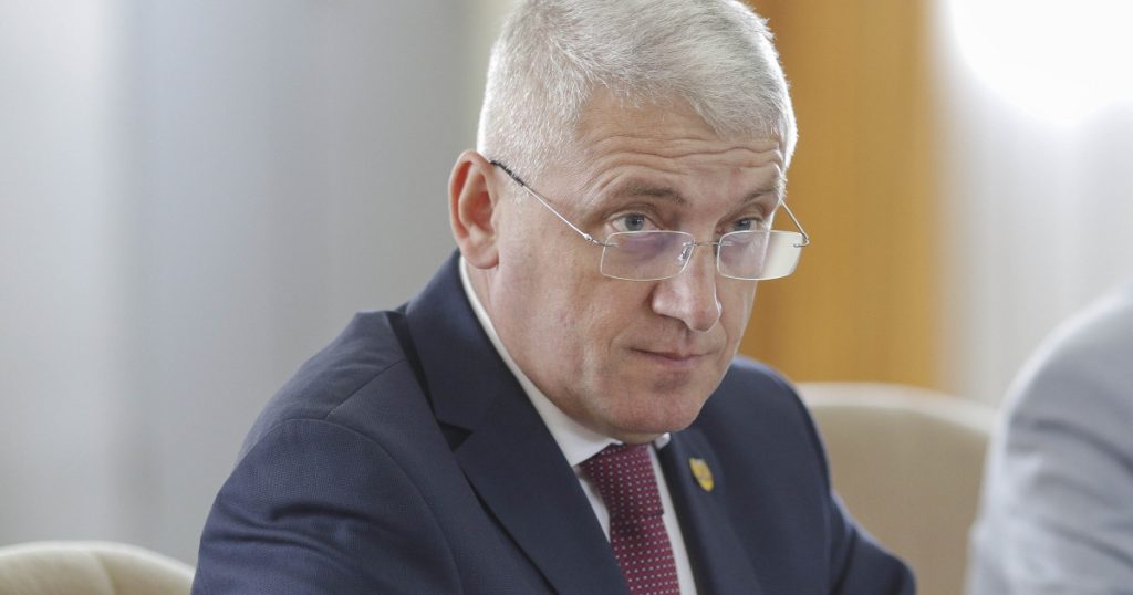 Diana Buzoianu acuză PSD că l-a pus pe șeful AEP să declare că nu se pot face alegeri anticipate. Reacția instituției