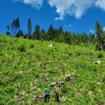 ANUNȚ Până la 20 de ani de închisoare pentru infracțiuni de mediu: Poluarea gravă și distrugerea naturii nu pot rămâne afaceri profitabile!