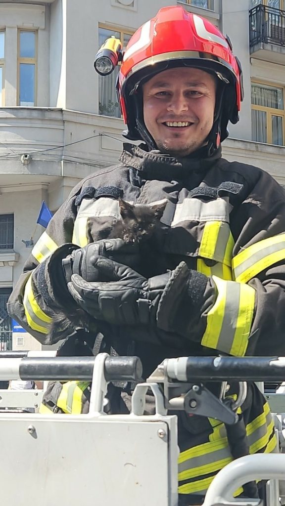 Pompierii au salvat o pisică rămasă blocată pe acoperişul Prefecturii Dolj - FOTO