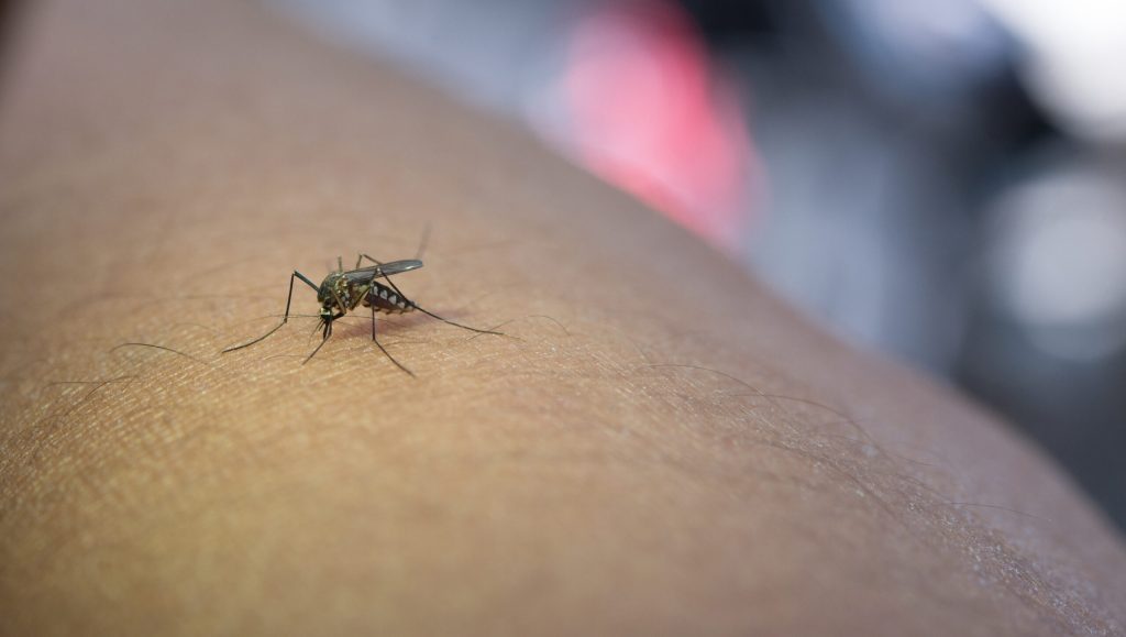 O companie a inventat o dronă care identifică țânțarii și îi elimină în timpul zborului