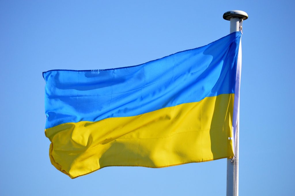 Manifestaţii în Ucraina împotriva plecării ministrului apărării