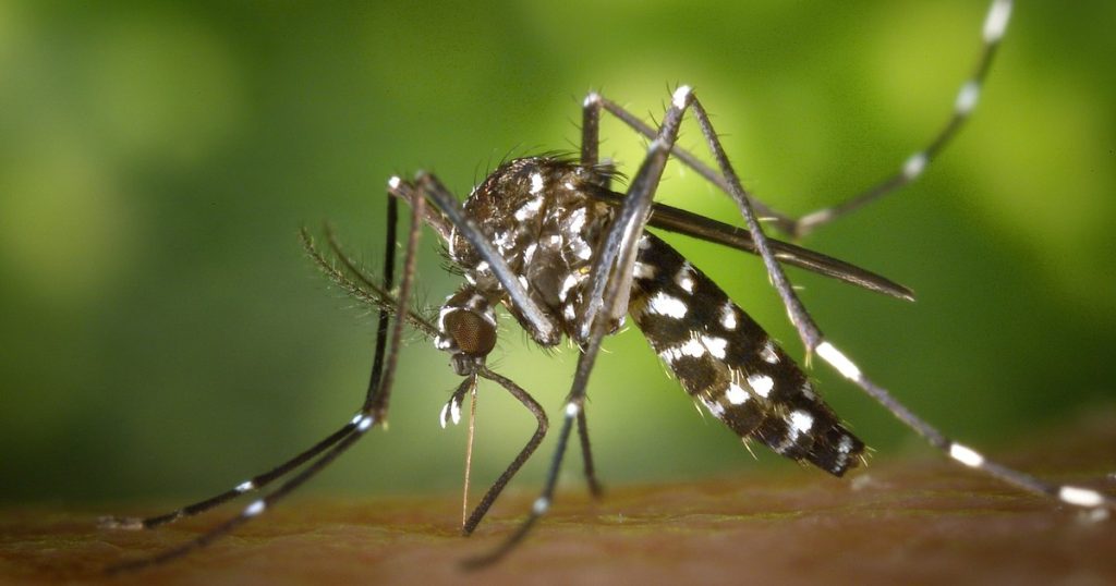 Primul caz de virus West Nile confirmat la Iași. Alți doi pacienți sunt investigați
