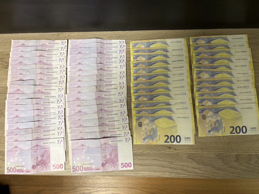 Anchetă germano-română: doi cetăţeni români, arestaţi la "Hackerville" (Râmnicu Vâlcea) într-o schemă de fraudă online cu vânzări de maşini. Prejudiciu de peste 660.000 de euro şi peste 5.000 de anunţuri auto false, potrivit poliţiei bavareze