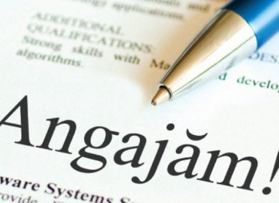 Angajări în primăriile și instituțiile din Teleorman. Se caută asistent medical, șofer microbuz, operator date și supraveghetori