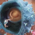 Potențială megafuziune în farma: AstraZeneca, interesată de preluarea rivalei americane Bristol Myers