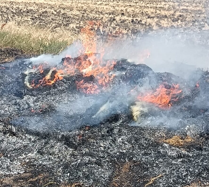 FOTO Incendii în trei localități din județul Botoșani. Intervenții ale pompierilor la peste 30 grade Celsius