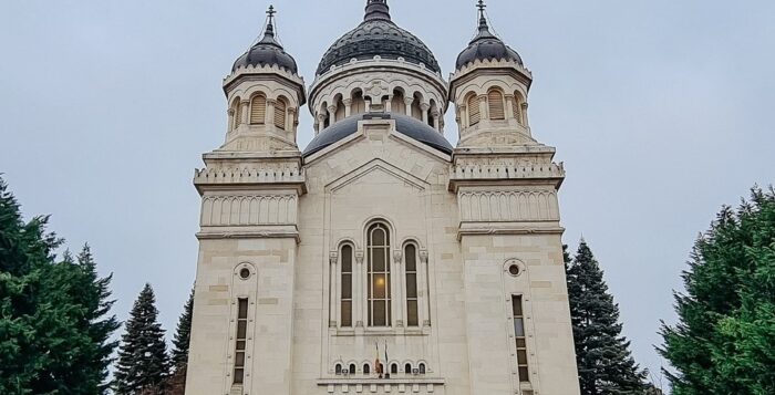 Se taie copacii din jurul catedralei mitropolitane, arhiepiscopia promite alții, susține că afectează structura de rezistență