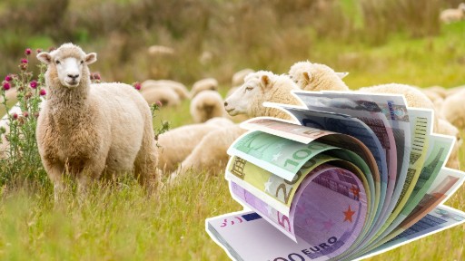 Ajutor pentru crescătorii de animale