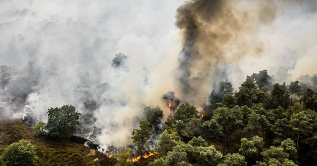 Valul de incendii din Europa lovește și Olanda. Flăcările au mistuit 100 de hectare de pădure. Un nou pericol pentru sănătate: fumul toxic