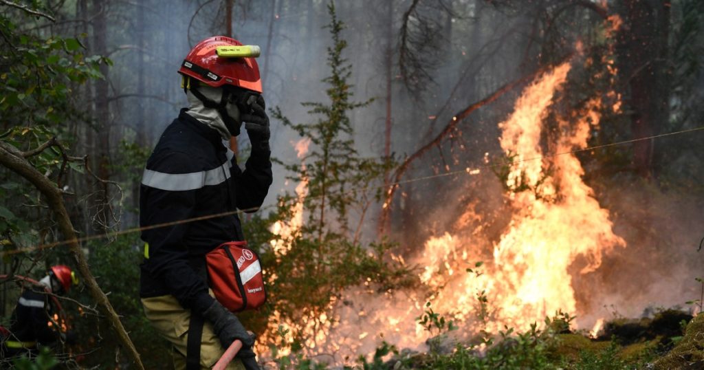 „Sunetul războiului” în Franța. Ce au scos la iveală incendiile de vegetație: S-au auzit peste o sută de explozii