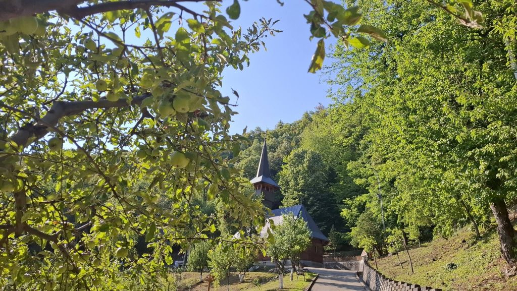 Pelerinaj în cinstea Maicii Domnului la Mănăstirea „Sfânta Maria” din Baia Mare. Programul sărbătorii din 14-15 august
