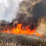Buzău: Incendiu cu degajări mari de fum în comuna Podgoria. A fost emis mesaj RO-Alert
