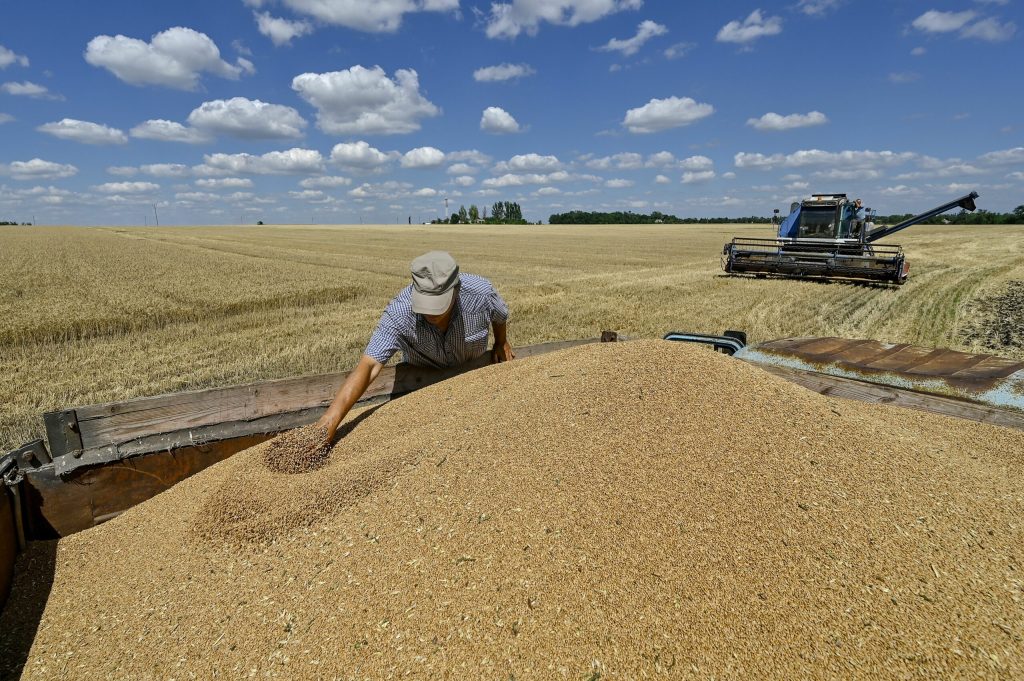 Ucraina caută rute alternative pentru exportul cerealelor, pe fondul blocării porturilor de către Rusia