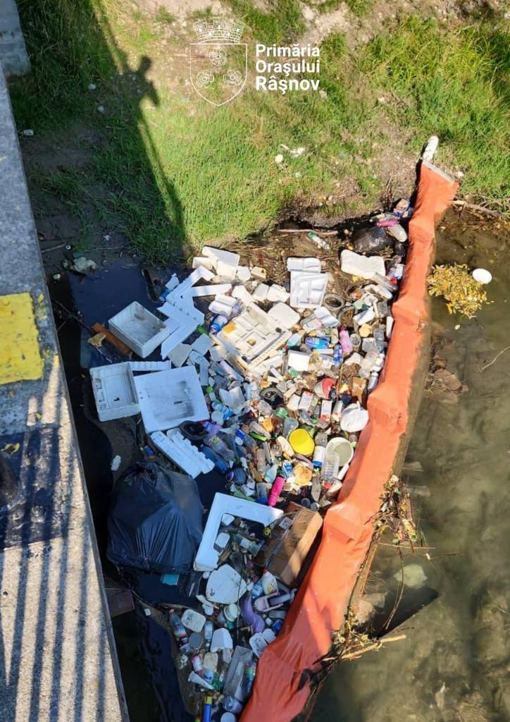 Se igienizează albia râului Ghimbășel