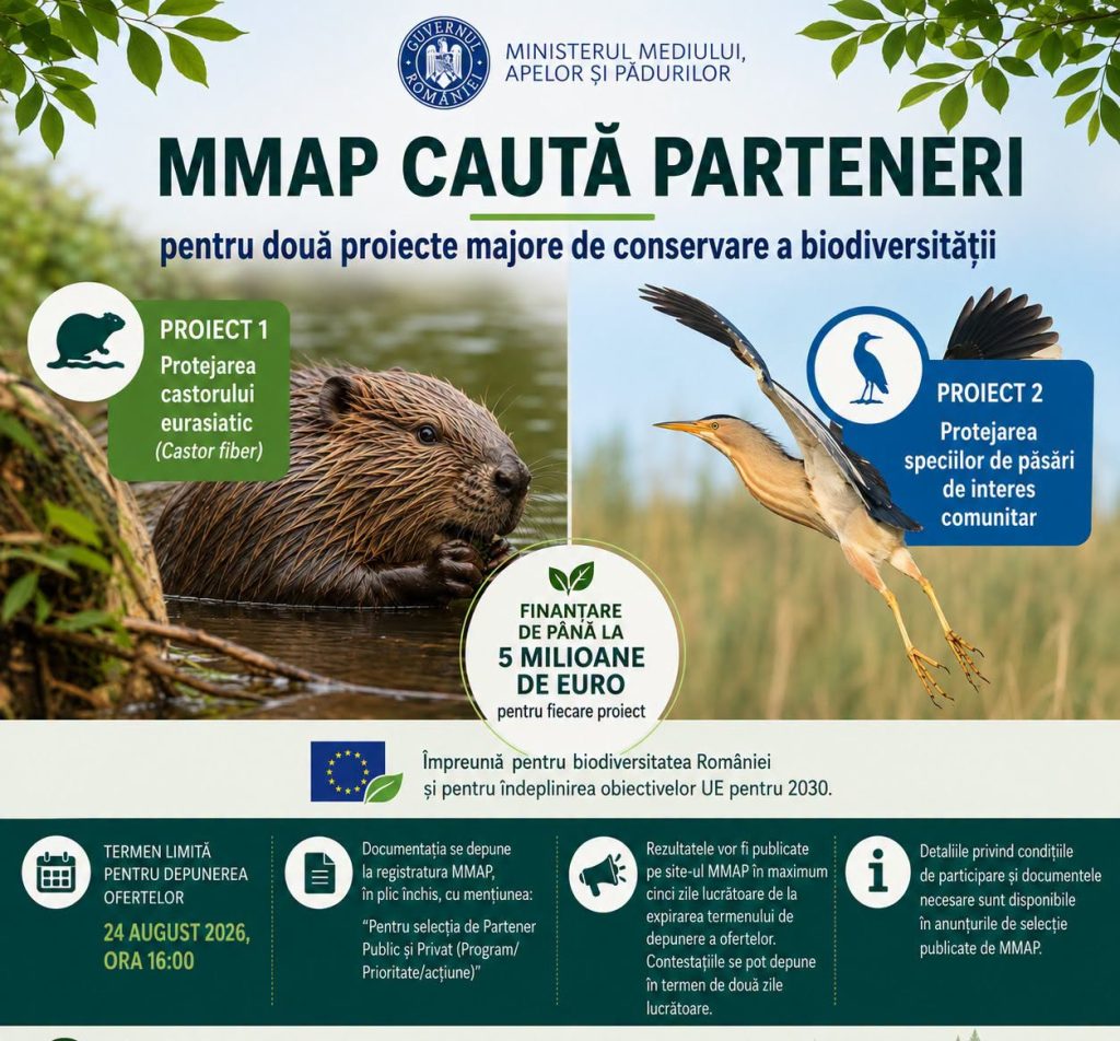 5 milioane de euro pentru protecția castorului euroasiatic