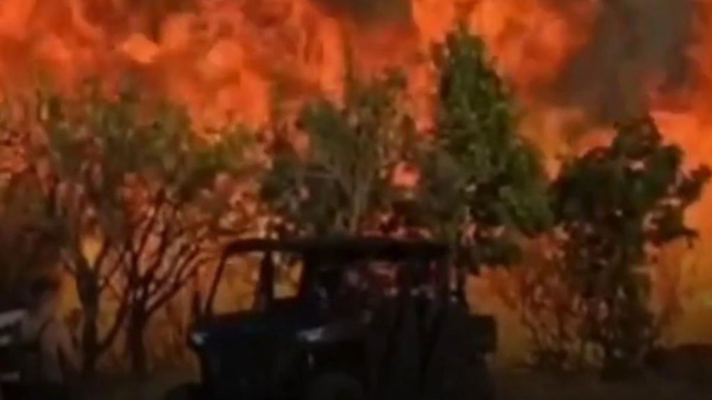 „Ne e frică să nu ajungă focul la case”. Incendiile de vegetație fac ravagii în toată țara
