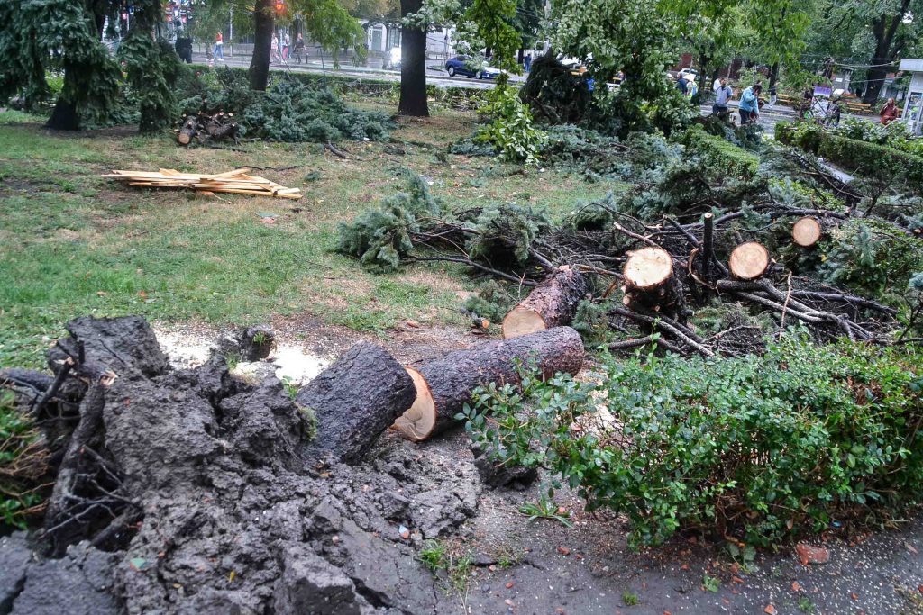 Furtună scură, dar intensă! Peste 20 de intervenții ale ISU Timiș