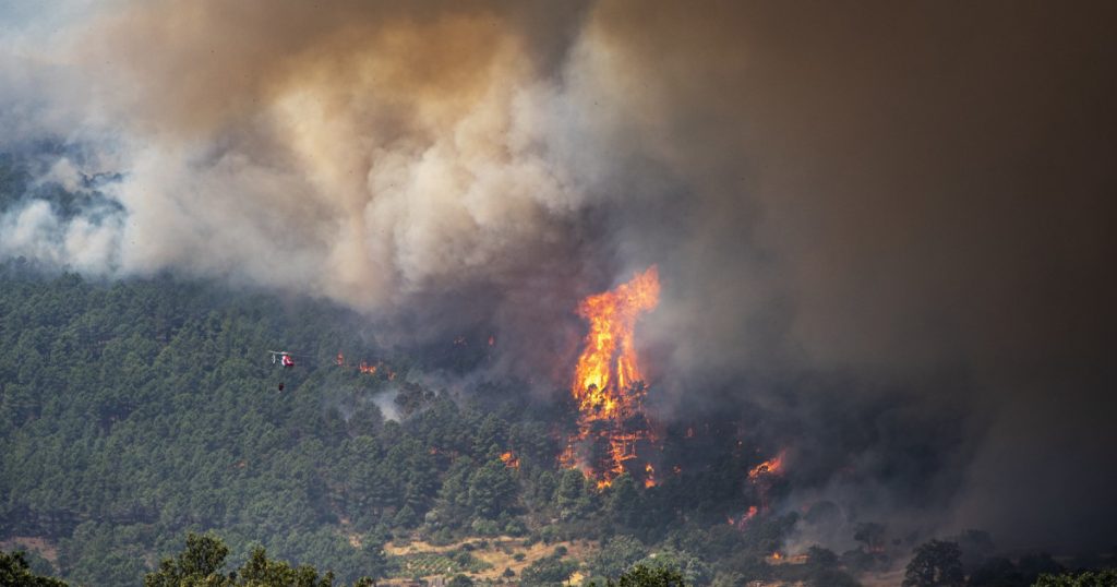 Alertă MAE: Cod roșu de risc de incendii în Valencia. Recomandările autorităților