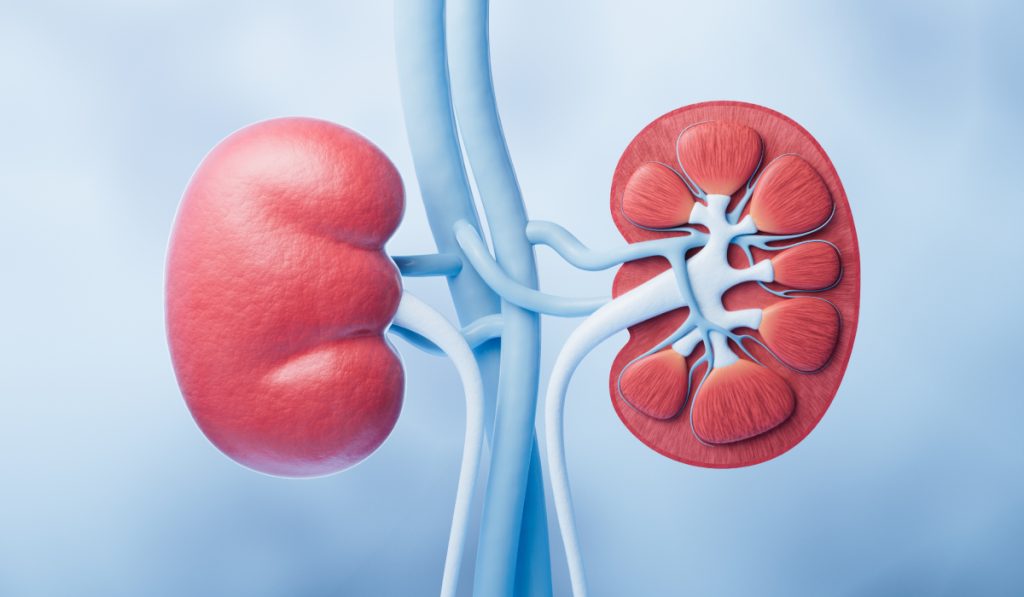 Culoarea urinei care poate indica probleme la rinichi. Explicația medicilor