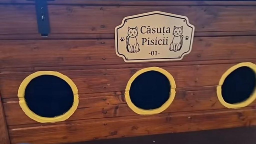 Primăria Arad oferă asociaţiilor de proprietari căsuţe pentru pisicile fără stăpâni. Care este singura condiţie ce trebuie îndeplinită