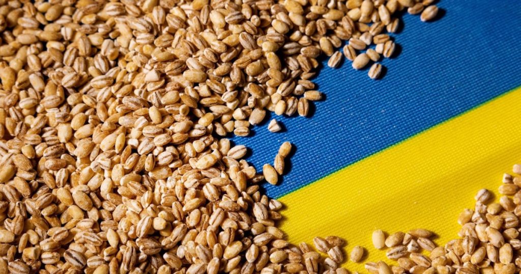 Portul Constanța, esențial în exportul cerealelor ucrainene. Kievul vrea coridor prin Republica Moldova (Reuters)