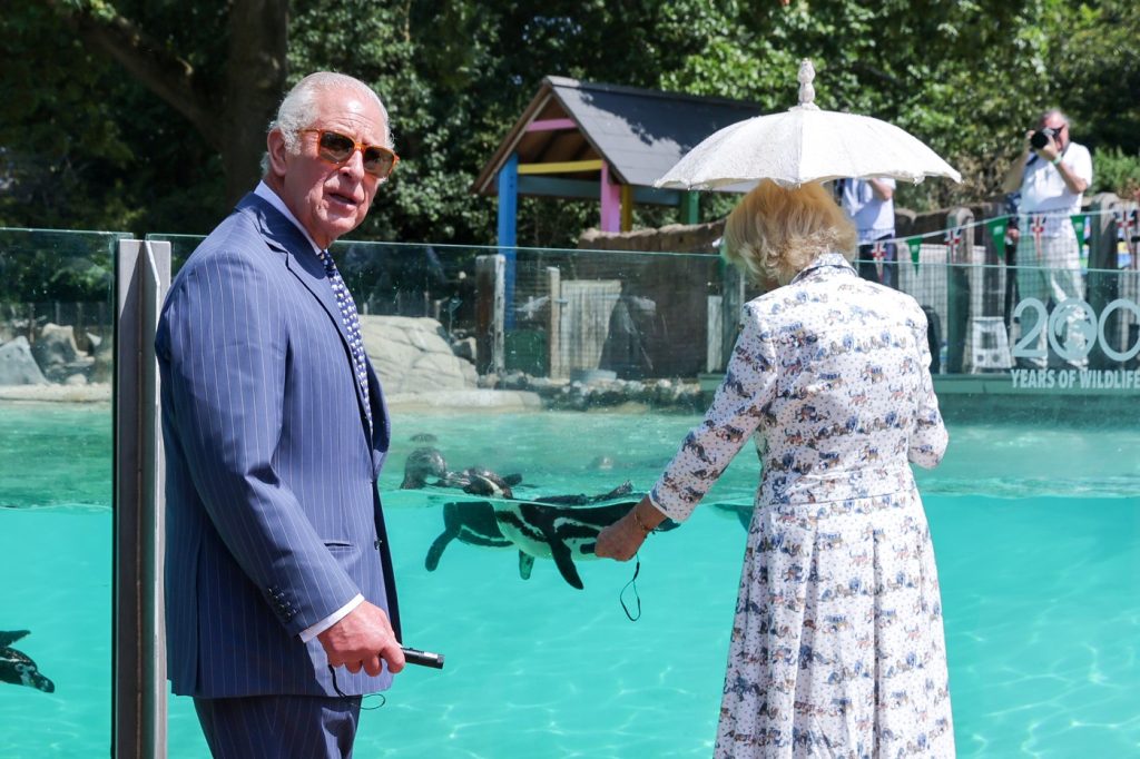 Moartea regelui Charles a fost anunțată din greșeală în Marea Britanie din cauza „curiozității” unui angajat