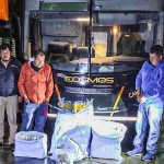 Caz incredibil: un autocar cu însemnele lui Sao Paulo, prins cu 86 de kilograme de droguri
