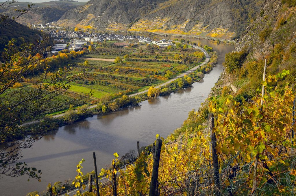 Ziua Prosecco. Cum a ajuns un vin apreciat de romani cunoscut în lume de abia în secolul XXI
