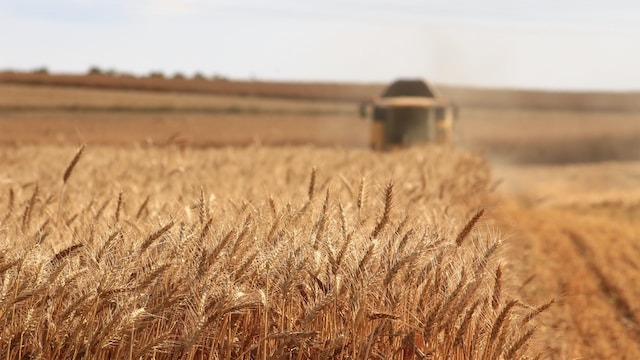 Ucraina cere Uniunii Europene 220 de milioane de euro subvenție pentru agricultorii săi