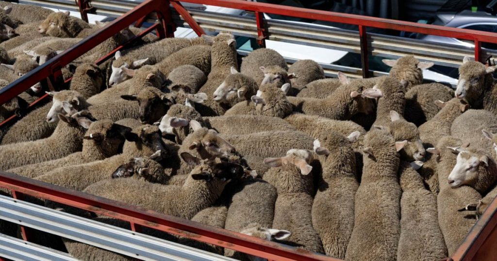 Tehnologii avansate în trasabilitatea animalelor