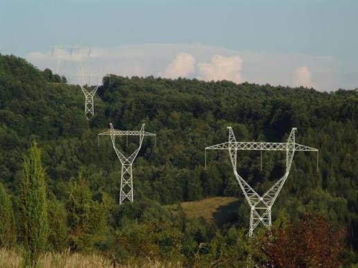 Biodiversitatea bagă energia în scurtcircuit