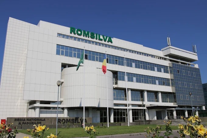 Romsilva, locul 2 pe ţară la atribuirea contractelor prin proceduri de negociere fără publicare în 2025, după Spitalul de Urgenţă Moineşti