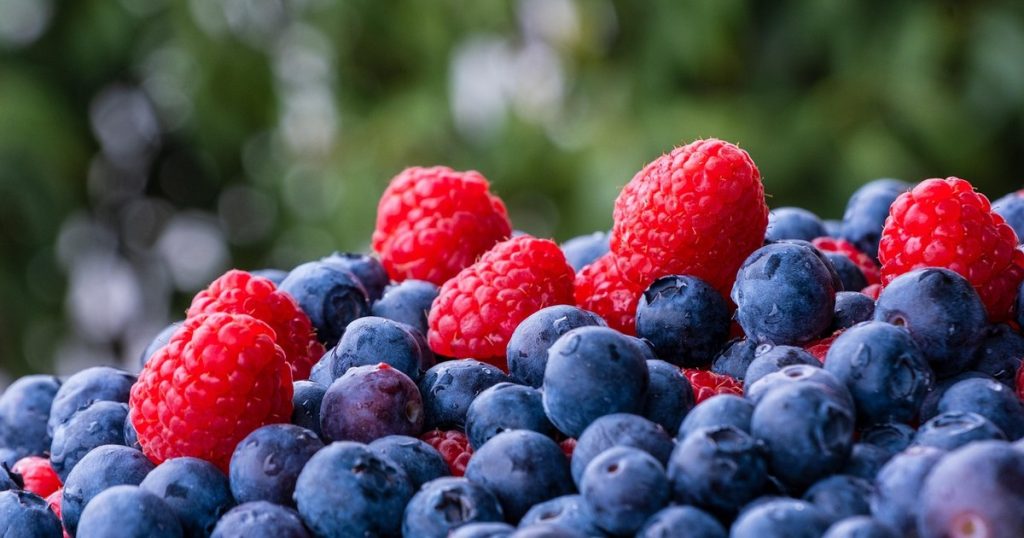 Salarii de până la 7.600 de lei la cules de fructe, lângă România. Cazare și trei mese gratuite