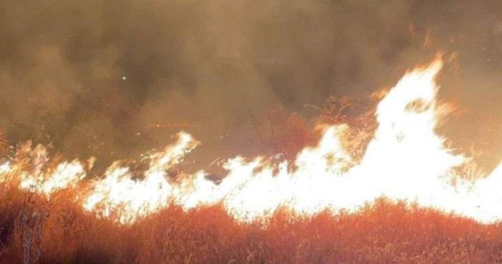 MAE: Atenţionare de călătorie pentru Croaţia. În ce zone ale litoralului sunt semnalate incendii masive de vegetaţie