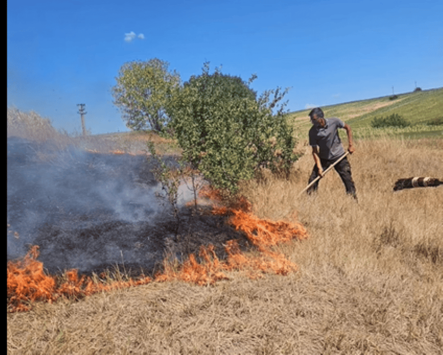 Incendiile repetate de vegetație în Frata pun comunitatea în alertă. Apel disperat al primarului Cristian Cherecheș