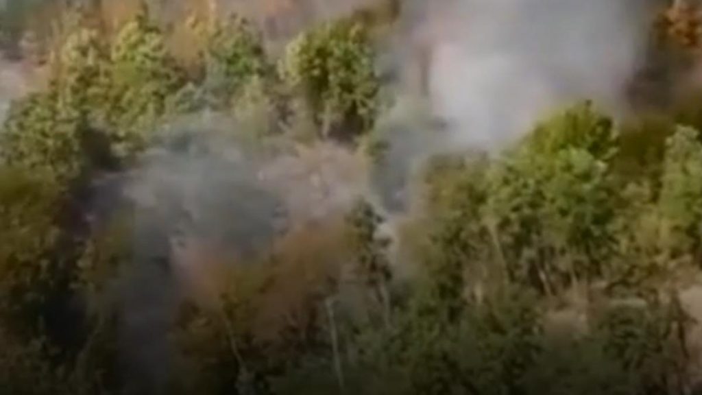Incendii de vegetație în mai multe localități din Timiș: 80 de hectare de vegetație s-au făcut scrum