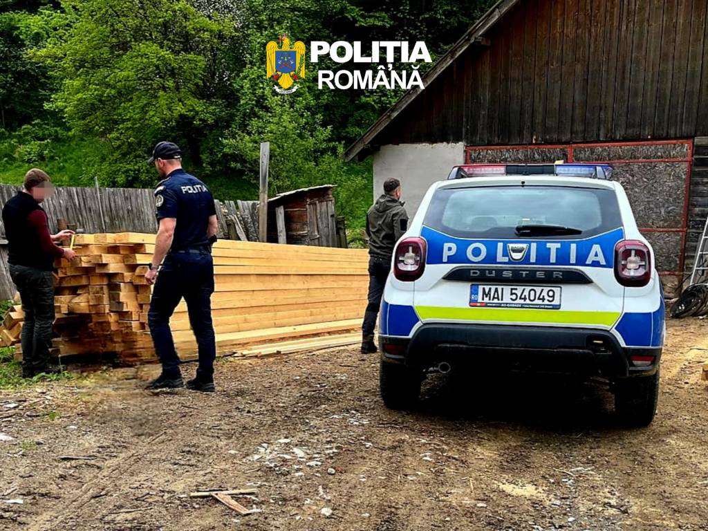 Infracțiunile silvice au crescut cu 7,5% în primele șase luni din 2026. Peste 41.500 de metri cubi de lemn, confiscați