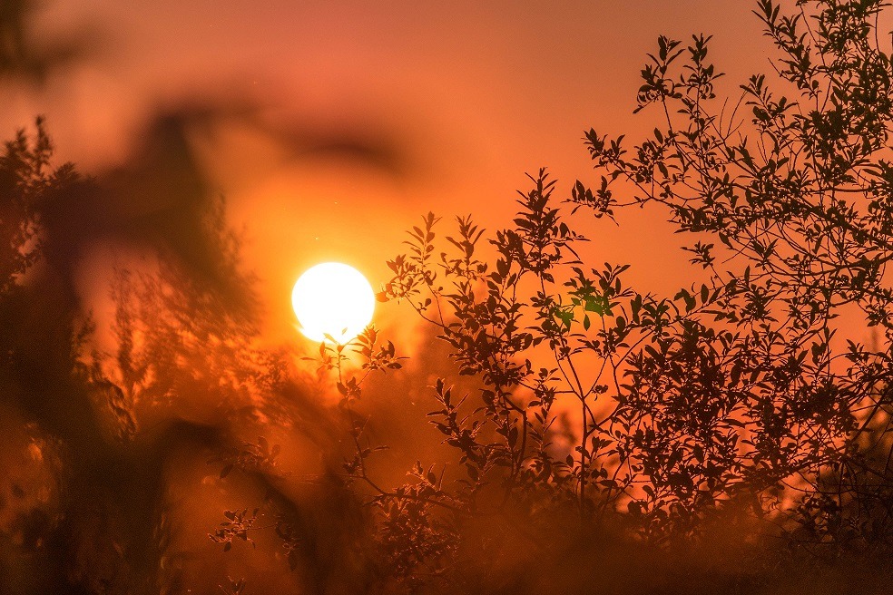 METEO: ANM anunță schimbări bruște ale vremii: temperaturile scad, apoi România intră din nou în caniculă / Maximele estimate, în medie, vor fi de 38 de grade